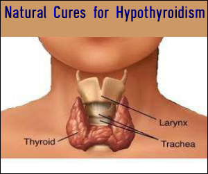 Natural Cures for Hypothyroidism